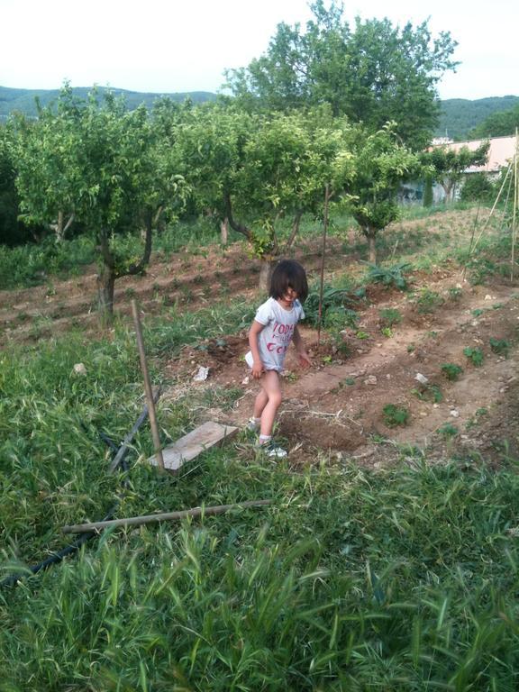 Andrea * Horche